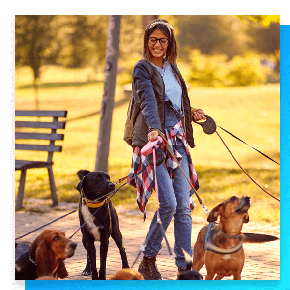 Dog walker